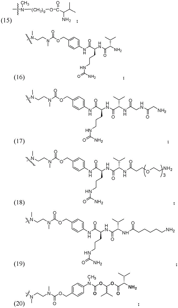 Figure BDA0003135424430001131
