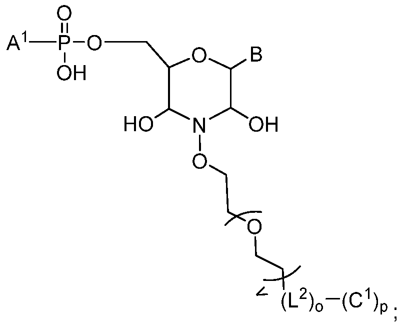 Figure imgf000011_0002