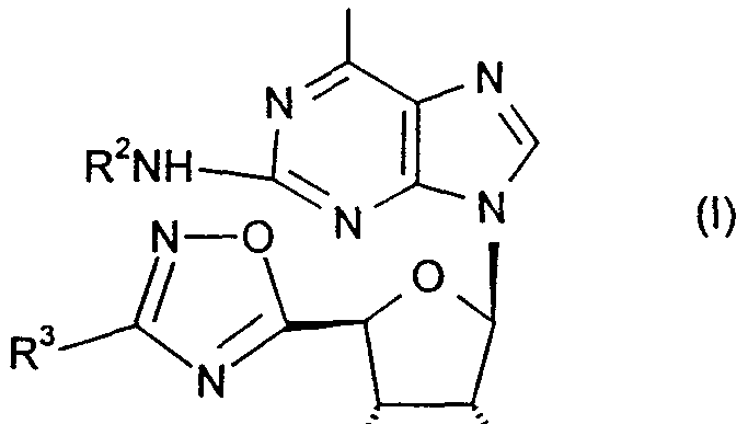Figure imgf000005_0001