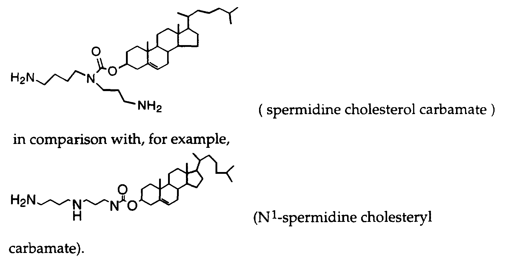 Figure imgf000024_0001
