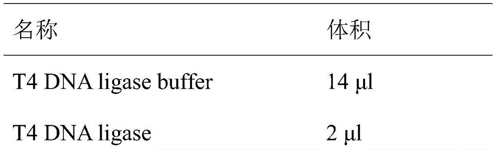 Figure BDA0002462439120000182