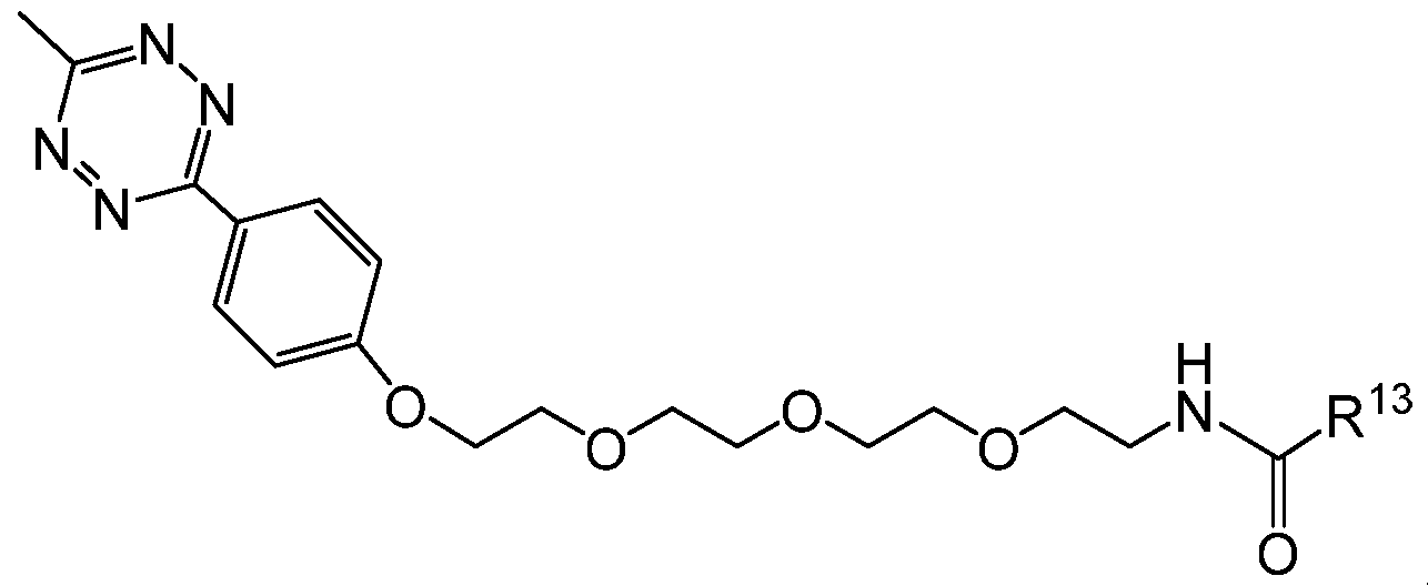 Figure imgf000168_0005
