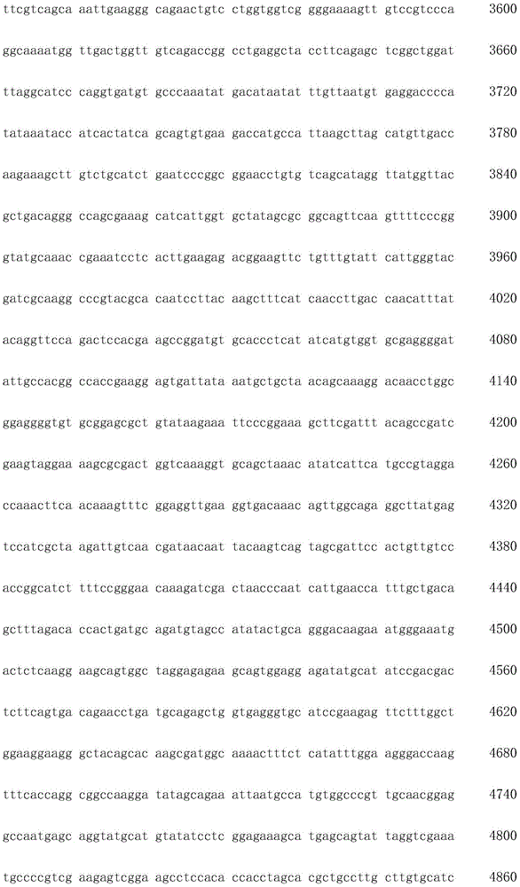 Figure IDA0002872168960000941