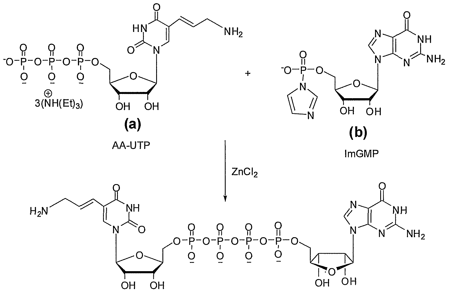 Figure imgf000034_0001