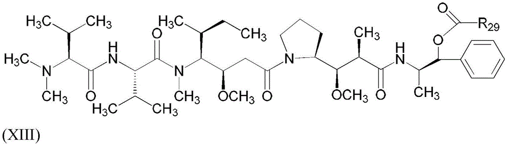 Figure BDA0003135424430001392