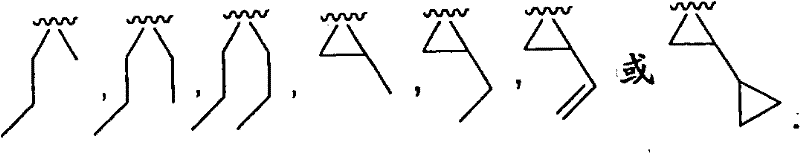 Figure BSA00000313081100412