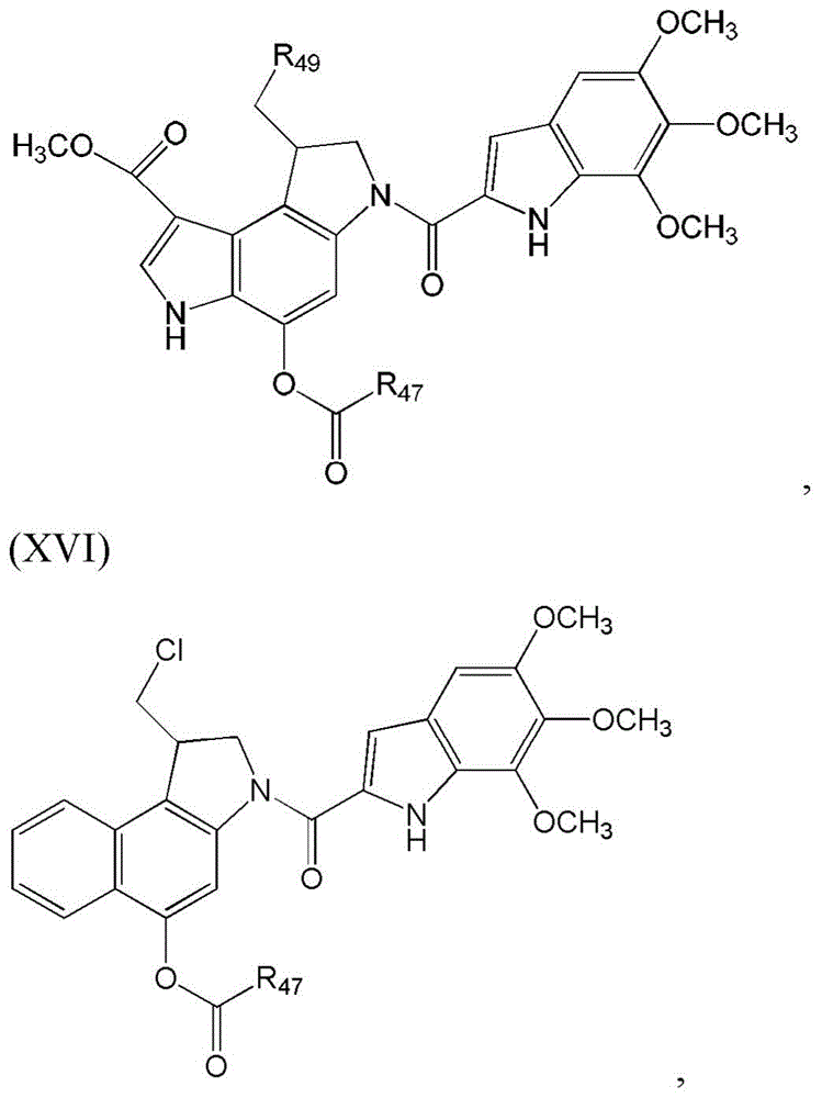 Figure BDA0003135424430001302