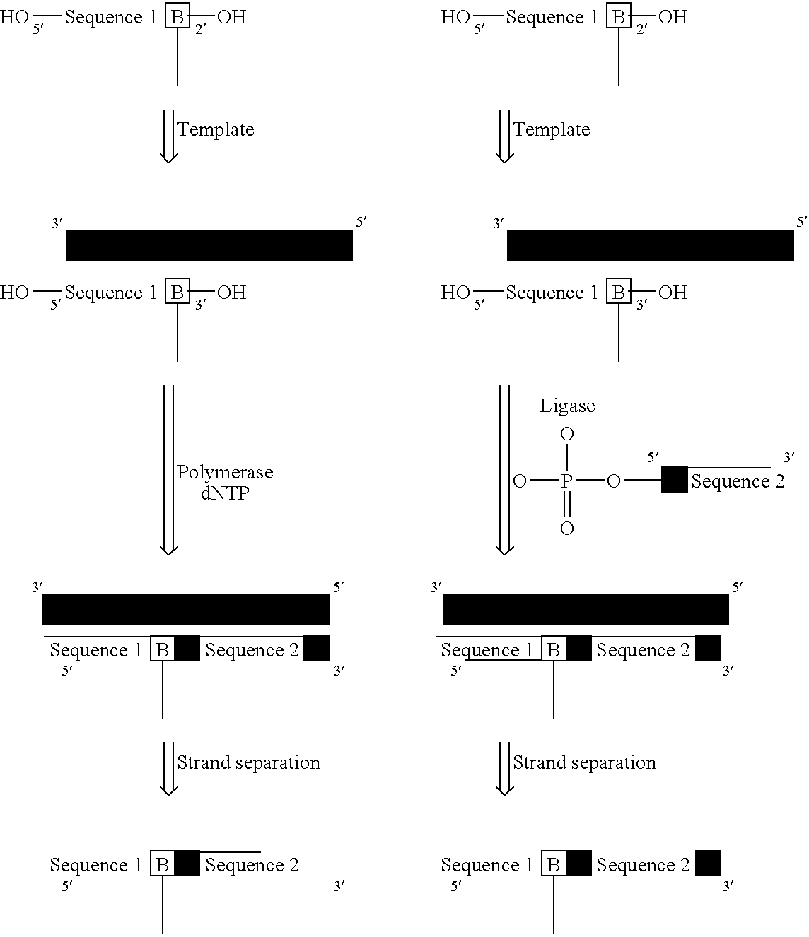 Figure US20040175490A1-20040909-C00007