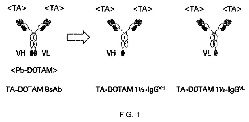 Figure 2022540610000001