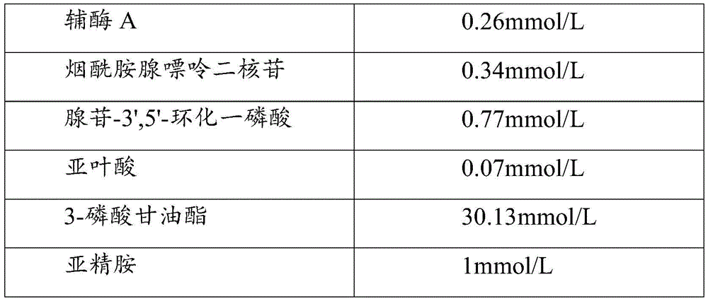 Figure BDA0002345904050000141