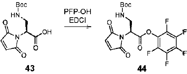 Figure imgf000075_0001