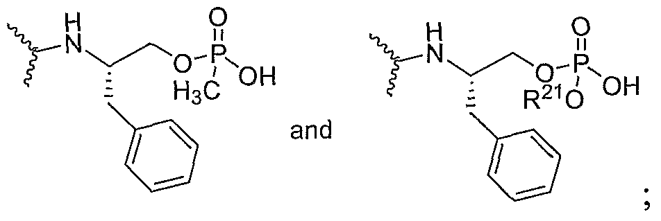 Figure imgf000031_0004