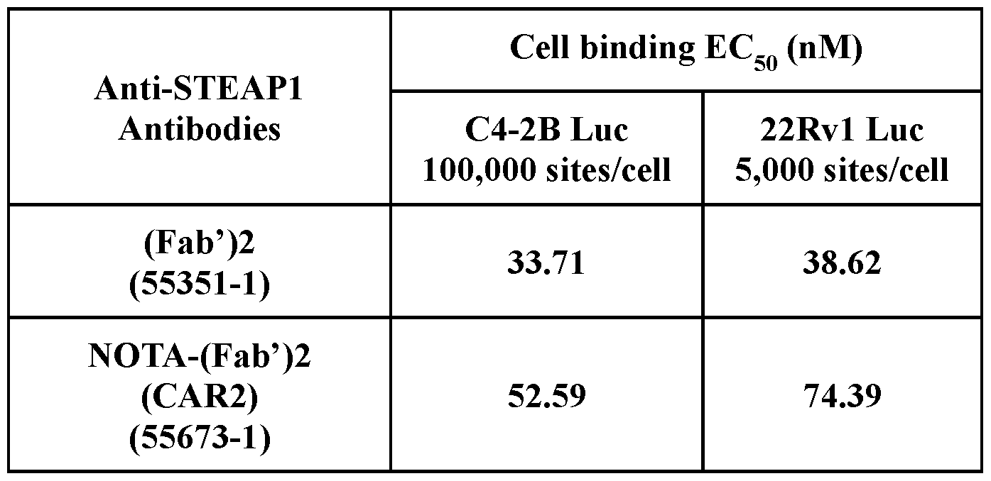 Figure imgf000018_0001