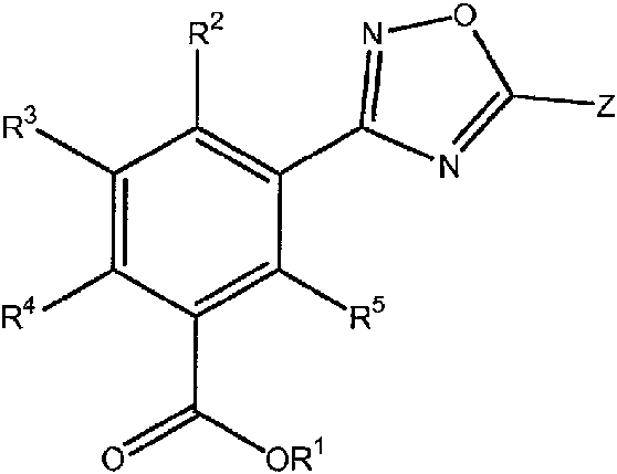 Figure imgf000010_0002