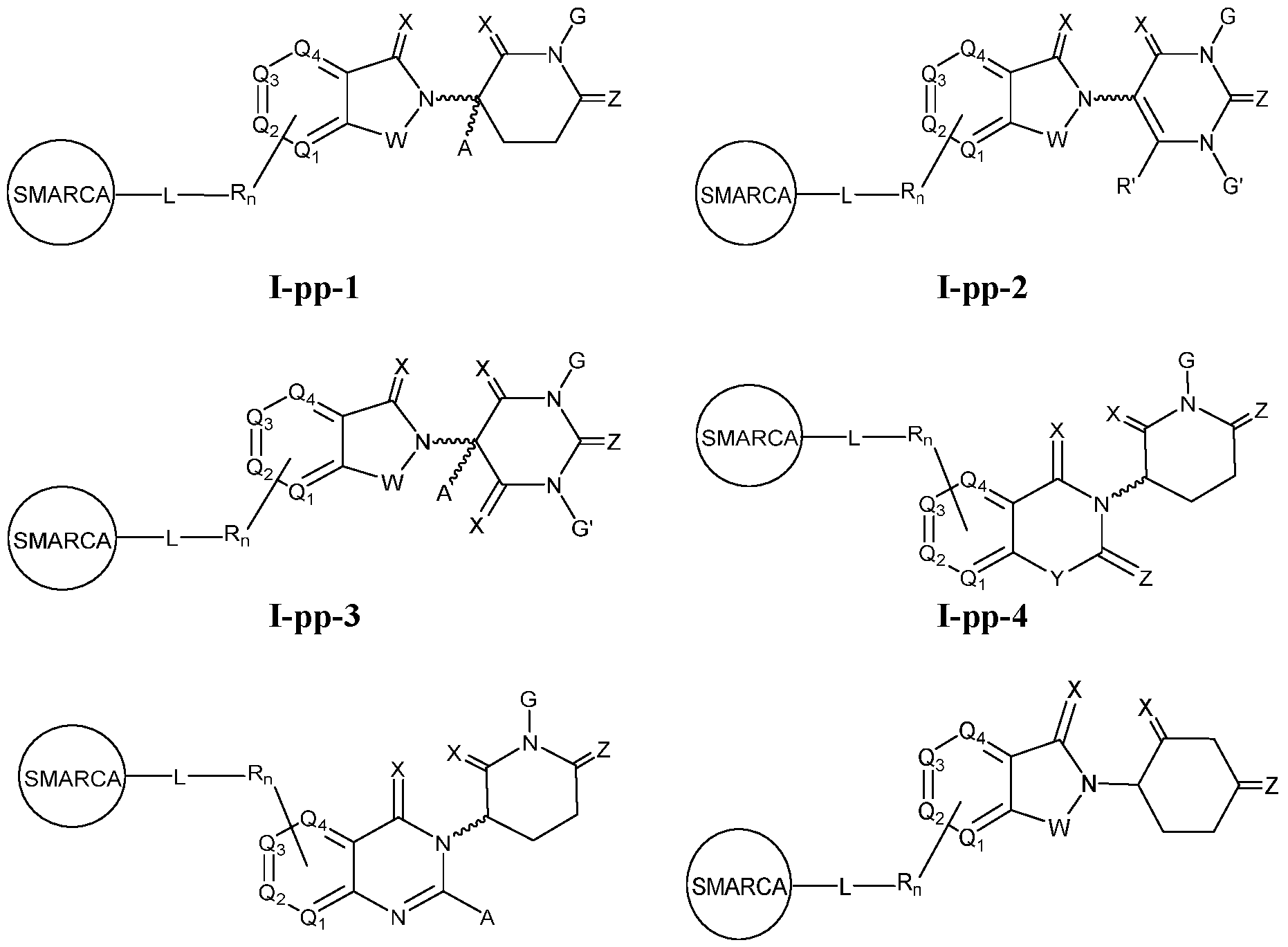 Figure imgf000386_0001