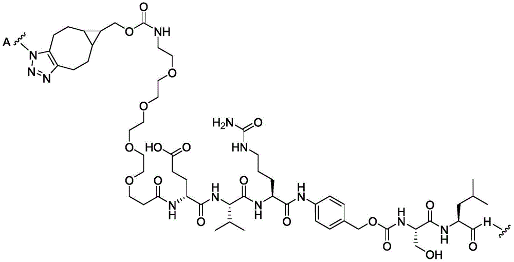 Figure BDA0003169092350000661