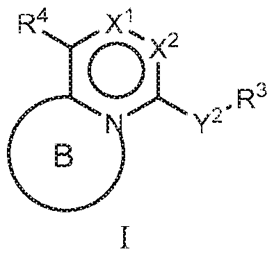 Figure imgf000005_0003