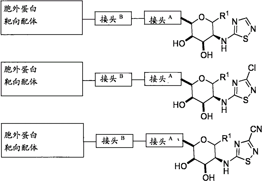 Figure BPA0000324887470001002