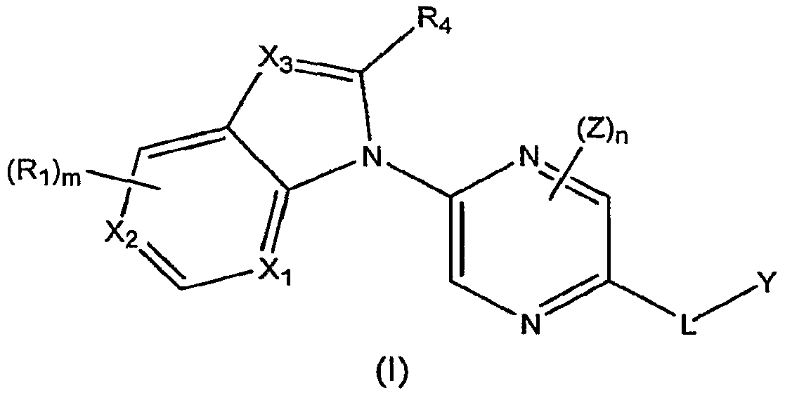 Figure imgf000006_0001