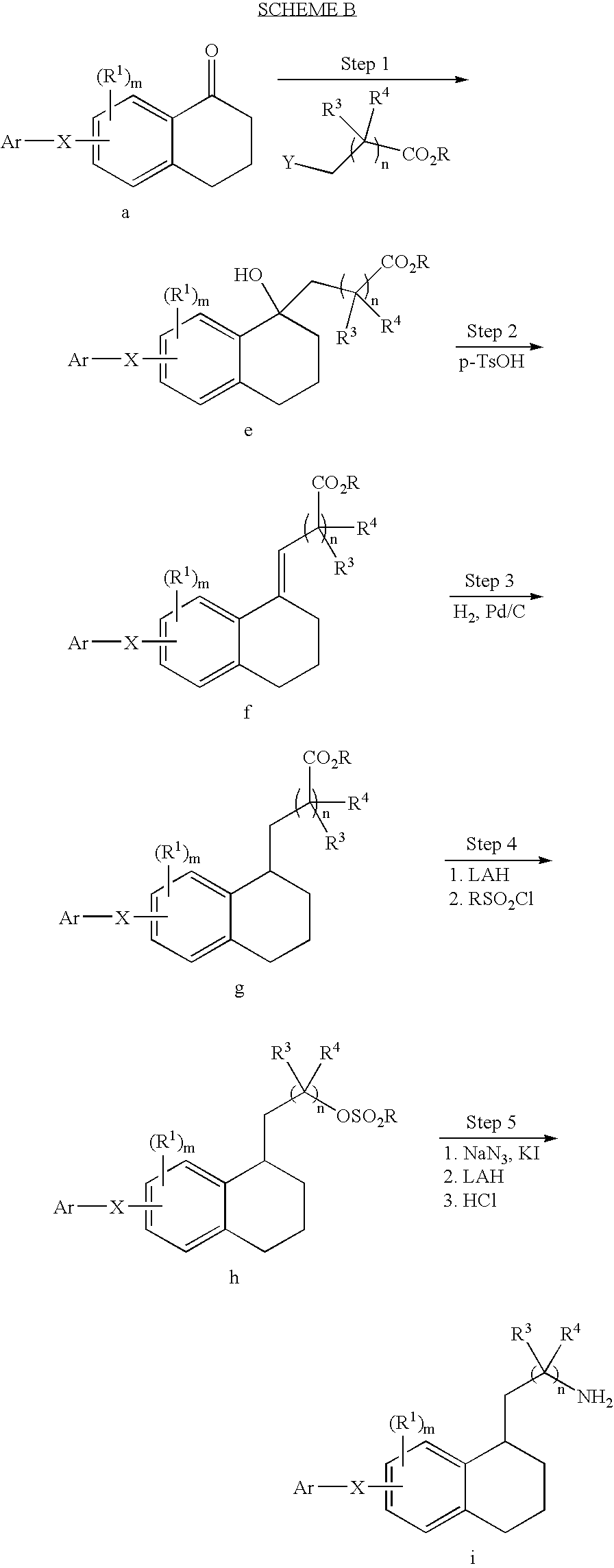 Figure US20080015208A1-20080117-C00059