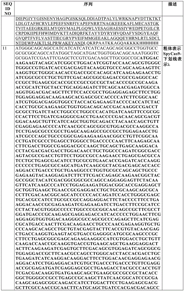 Figure BDA0002550795540000901