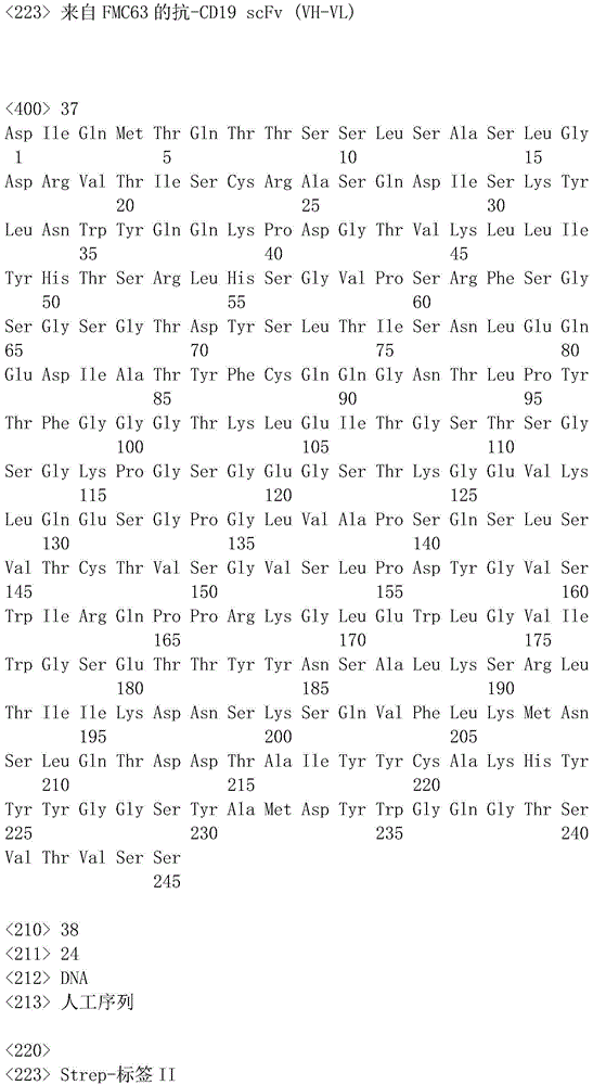 Figure IDA0001070643320000131