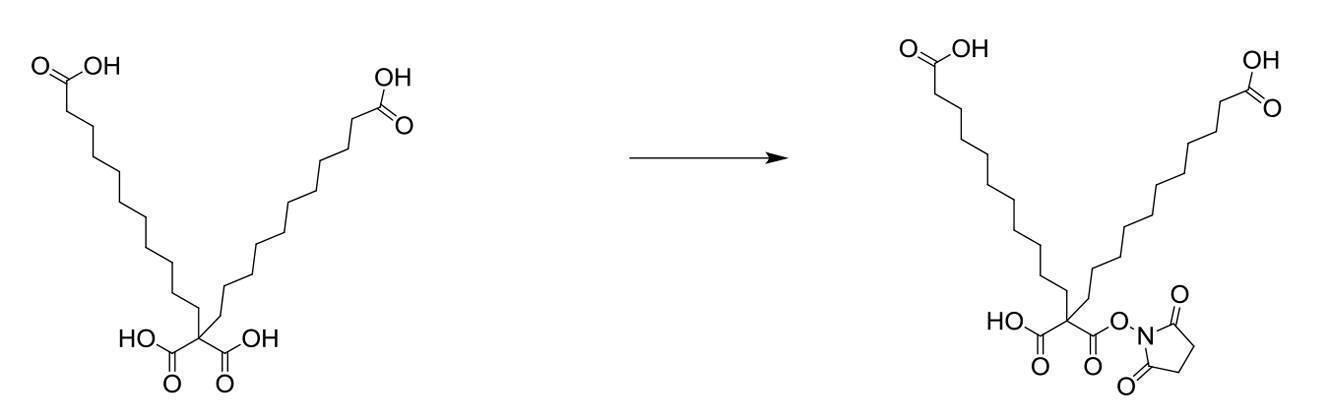 Figure 2022095757000081