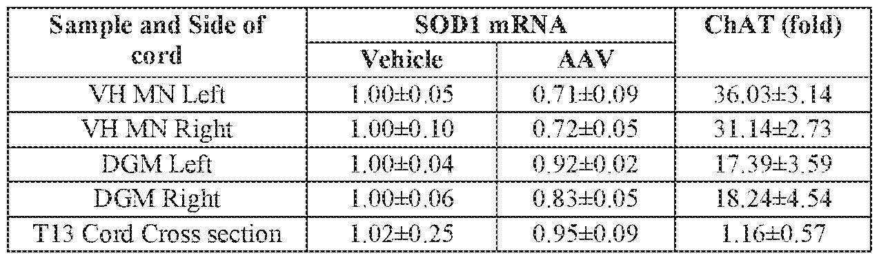 Figure imgf000184_0001