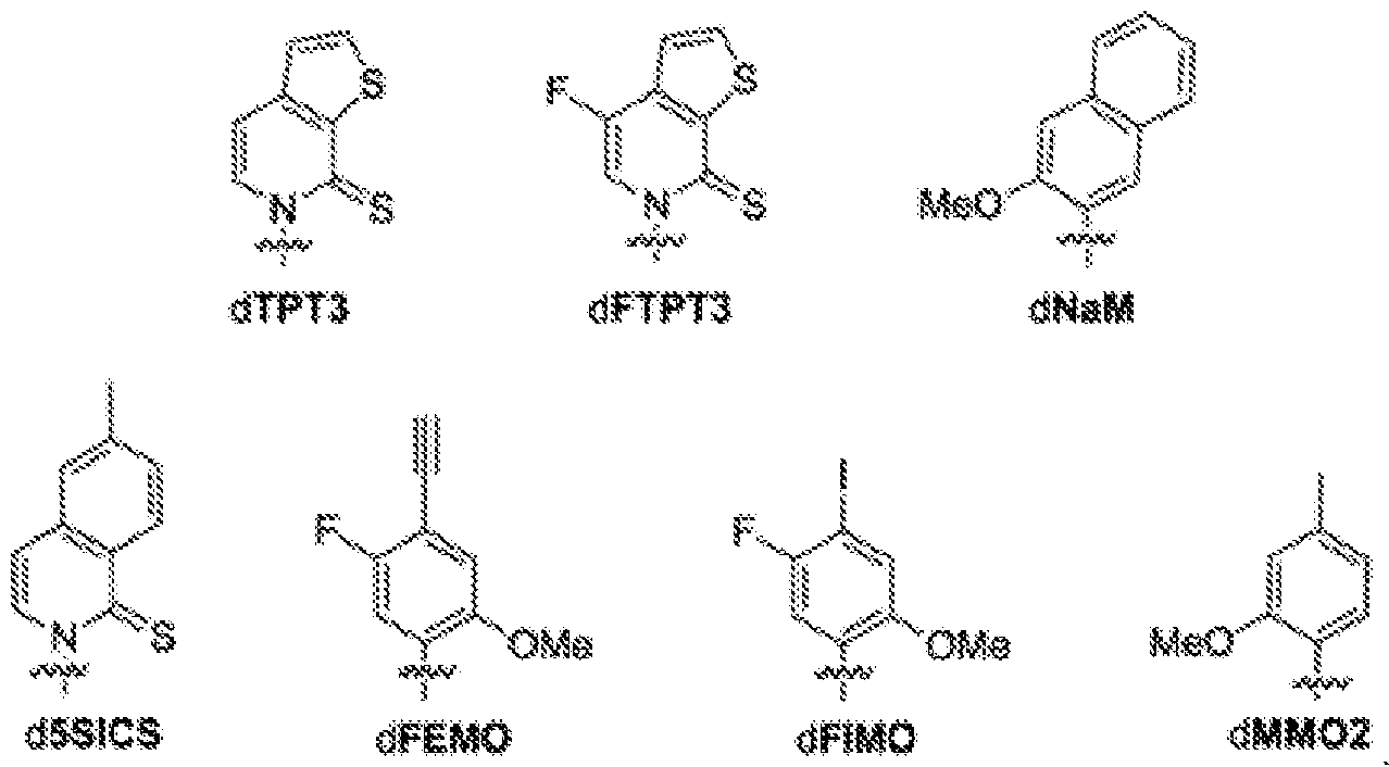 Figure imgf000005_0001