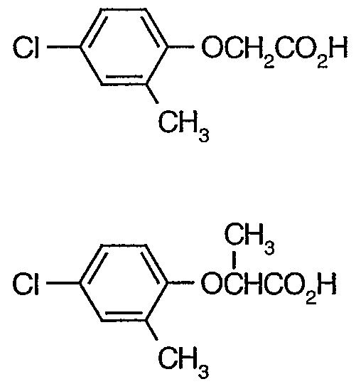 Figure imgf000022_0001