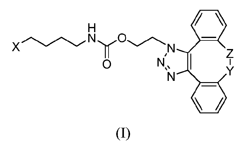 Figure imgf000020_0001