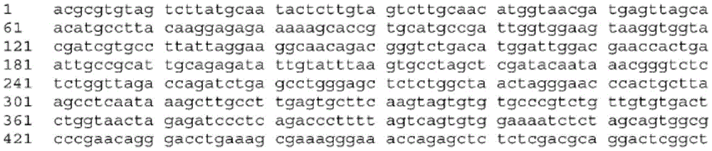 Figure BDA0003465582640001192