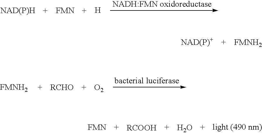 Figure US20090069697A1-20090312-C00002