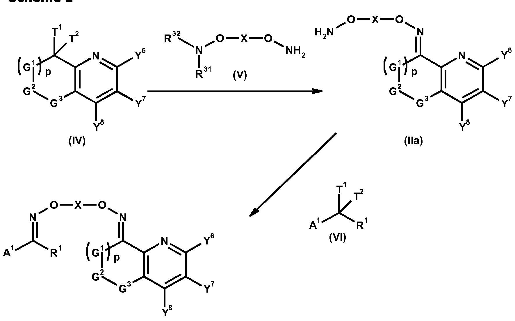 Figure imgf000061_0001