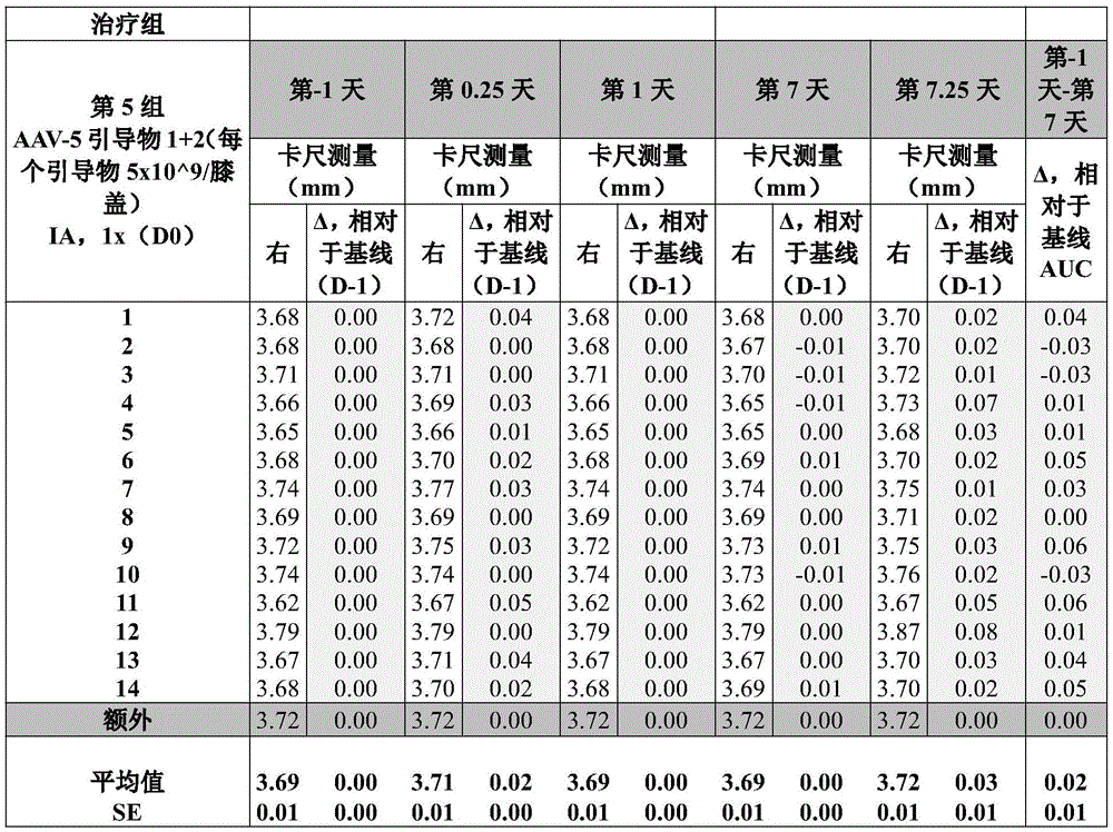 Figure BDA0004103958450001232