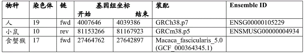 Figure BDA0002509100550000111