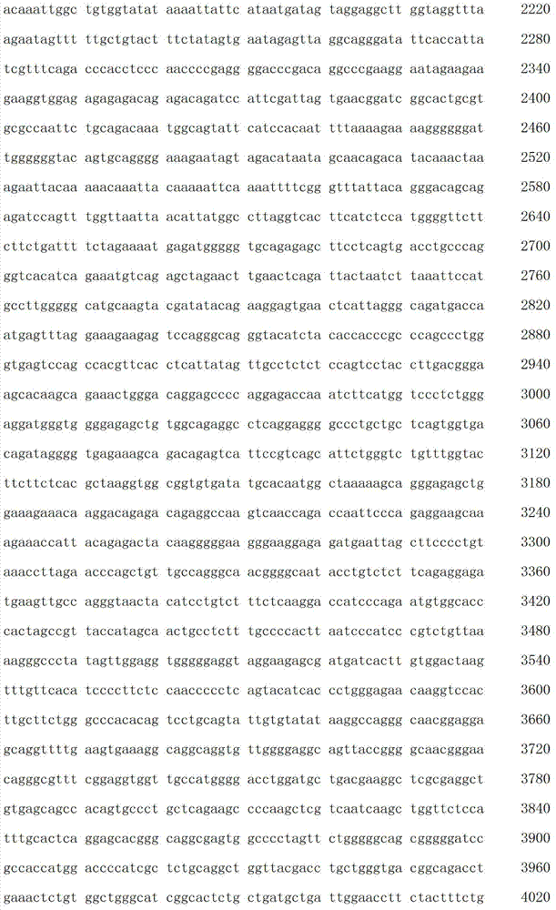 Figure IDA00003076741800531