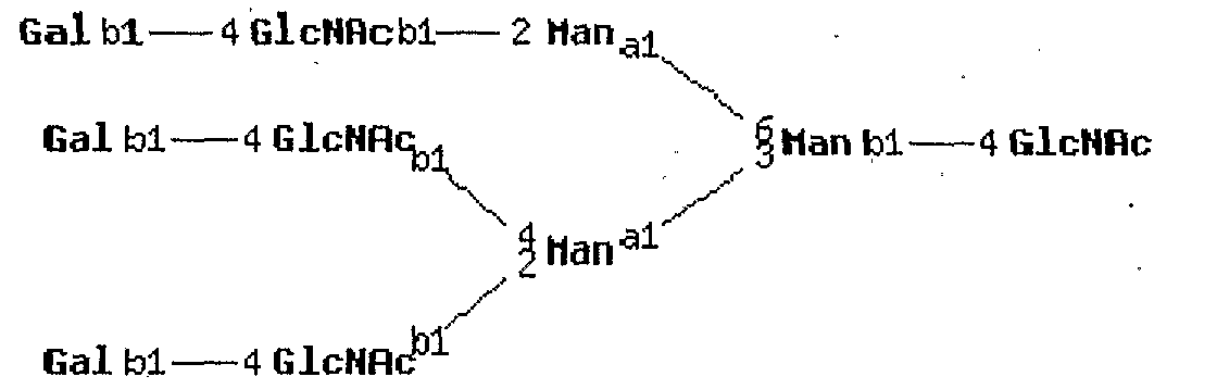 Figure imgf000177_0002