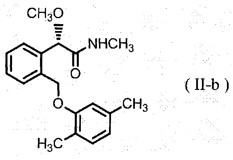 Figure imgf000013_0002