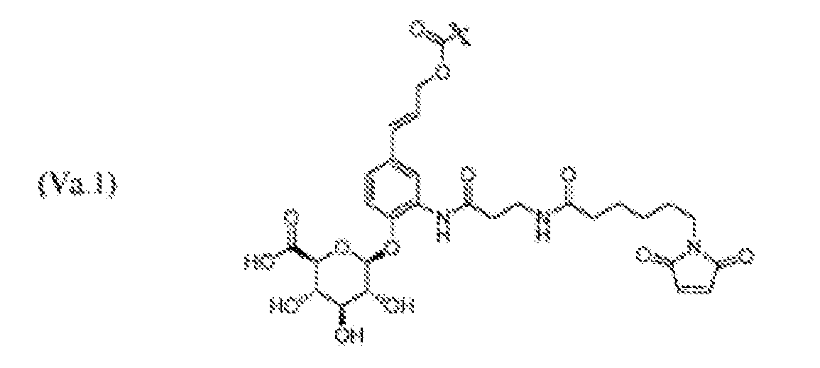 Figure imgf000081_0006