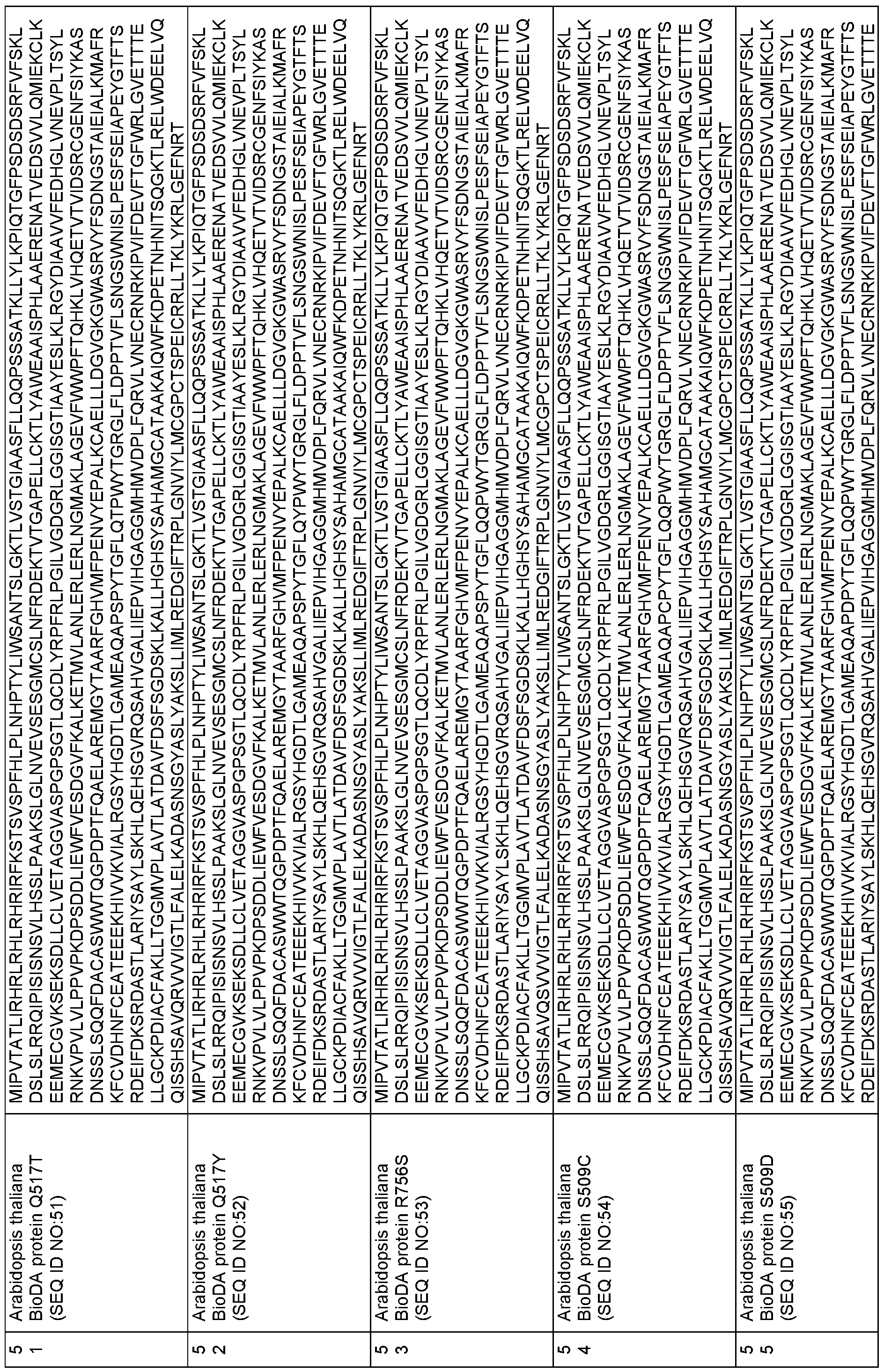 Figure imgf000230_0001