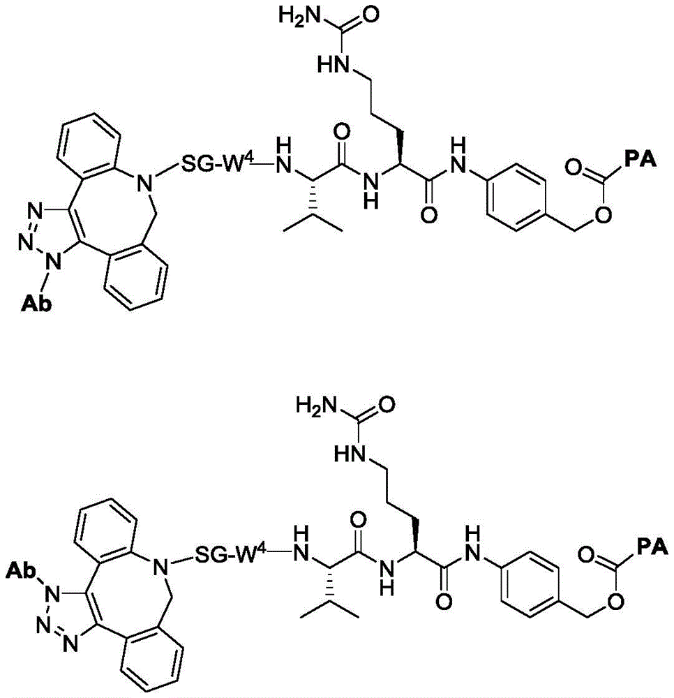 Figure BDA0003508738070000443