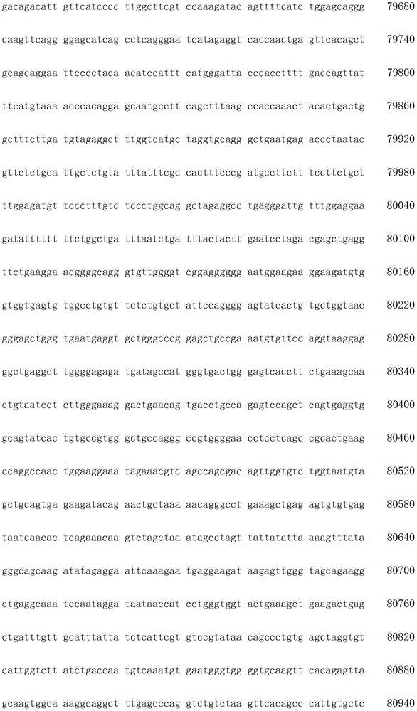 Figure IDA0003936212790000801