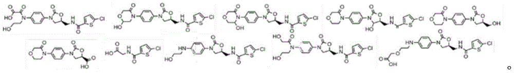 Figure FDA0003103974510000102