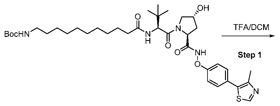 Figure imgf000325_0001