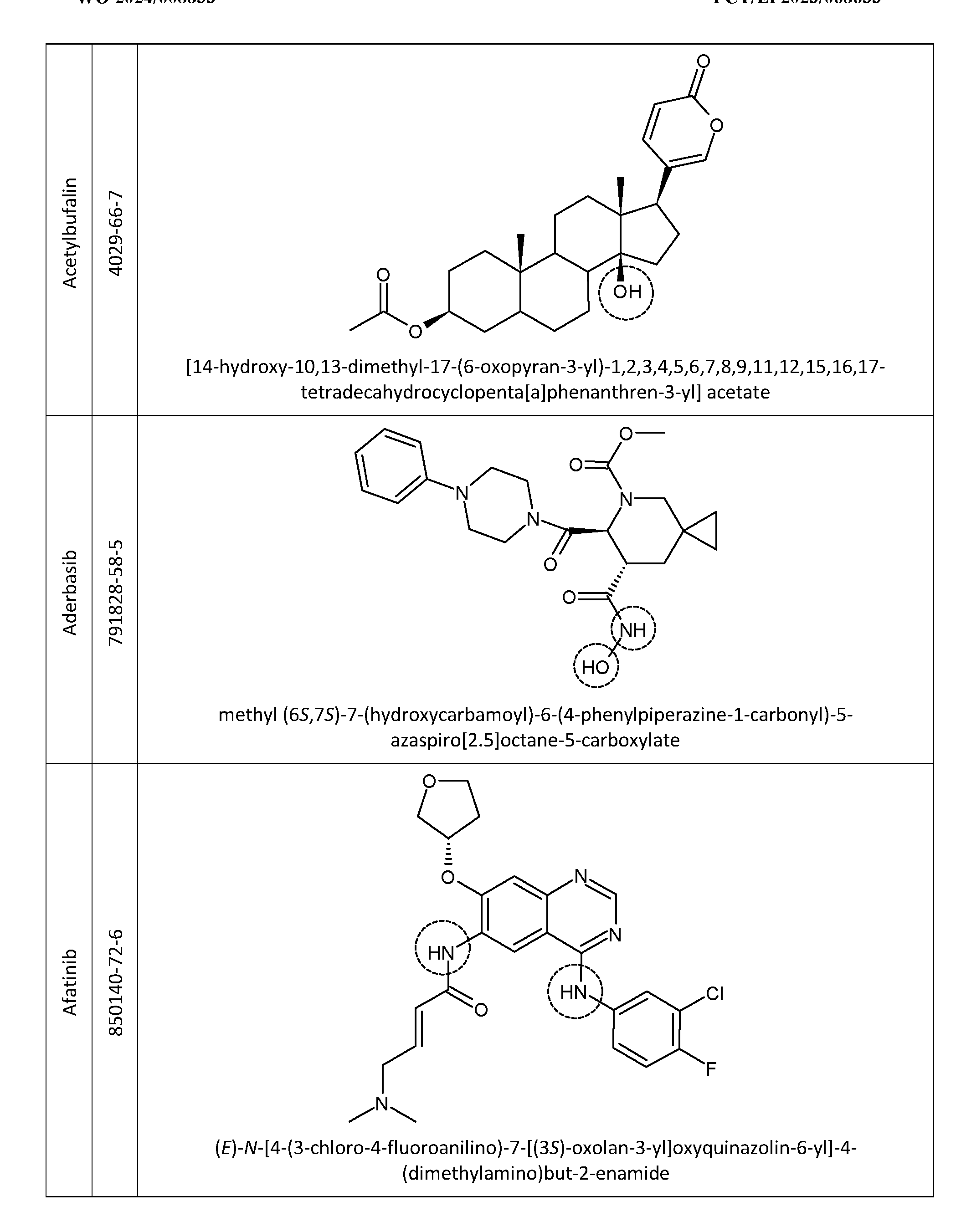 Figure imgf000011_0001