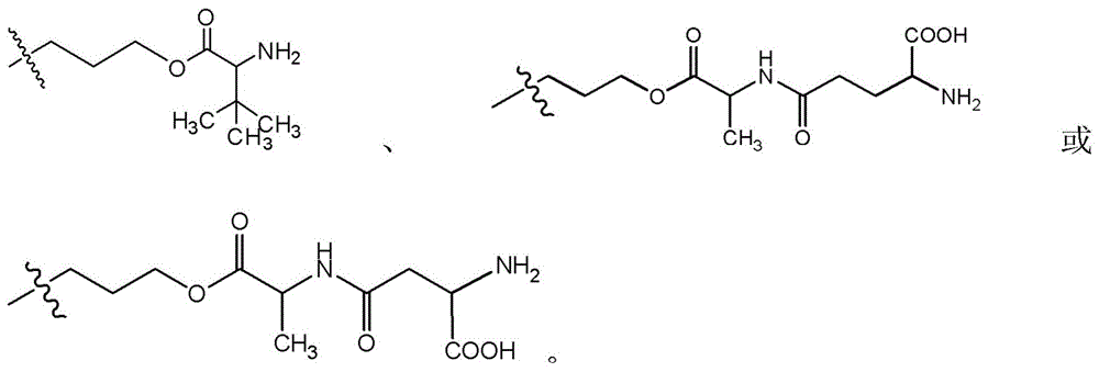 Figure BDA0003135424430001231
