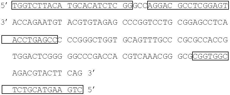Figure US20070259337A1-20071108-C00011
