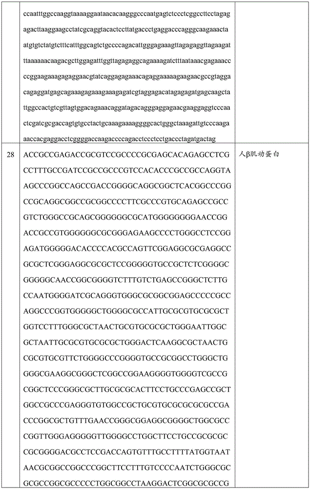 Figure BDA0002699455900001821