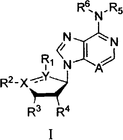 Figure BPA00001332690700021